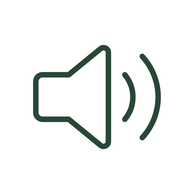 Loud and Clear Sound